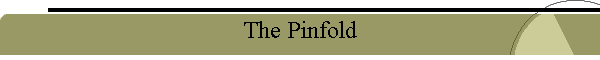 The Pinfold